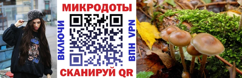 Галлюциногенные грибы прущие грибы  Шахты 