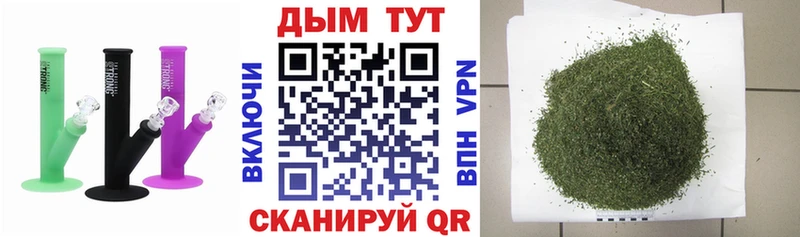 Шишки марихуана семена  mega вход  Шахты 